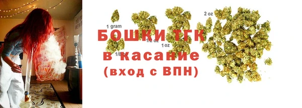 прущий лед Алзамай