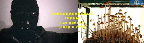 прущий лед Алзамай