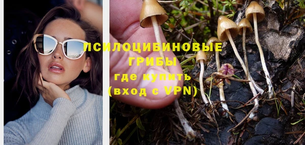 прущий лед Алзамай